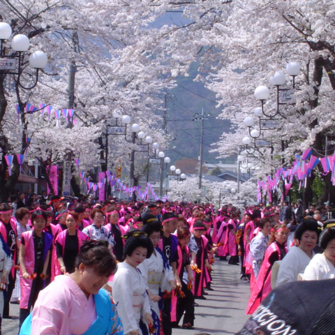 Kinugawa Onsen Cherry Blossom Festival